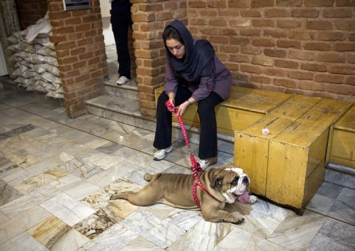 Churchill, a bulldog, seen with his owner at Tehran Pet Hospital, the first private hospital for pets in Iran, on June 23, 2011. For decades, keeping dogs as pets was a rarity and thus tolerated in Iran, where the Islamic beliefs cherished by the vast majority of traditional Iranians consider dogs as "najis", or unclean.