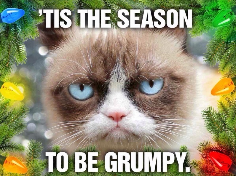 funny-grumpy-cat-season-christmas.jpg