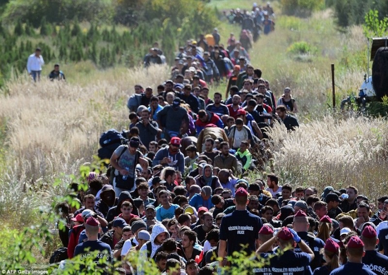 muslim-migrants-croatia-5-800x566