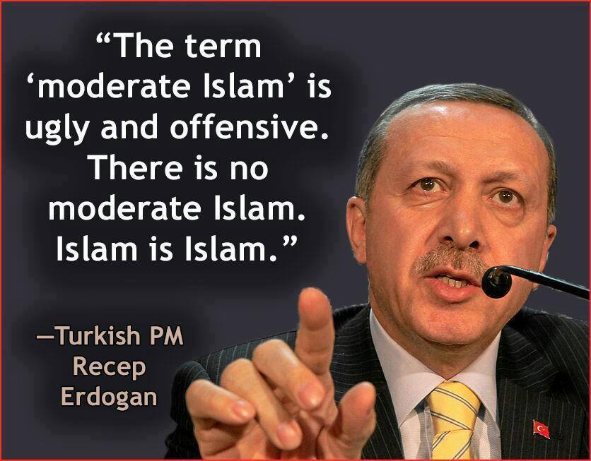 moderate-islam-erdogan
